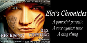 Banner_RR_RC_for_Facebook_smaller