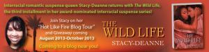 Stacy_Hot_Like_Fire_Blog_Tour