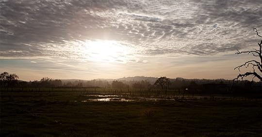 A Monday Menu and Mindfulness on FoodforMyFamily.com