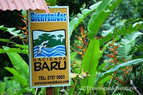 Hacienda Baru Sign Picture
