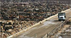 from Food Inc. (movie)