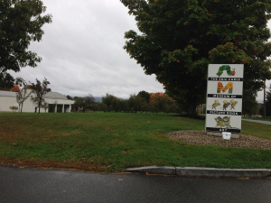 Visit the museum in Amherst, Mass.