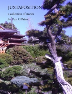 Juxtaposition Cover Image