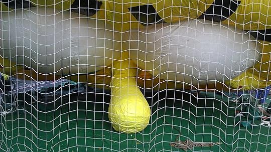 Guess which part of sponge bob this is?