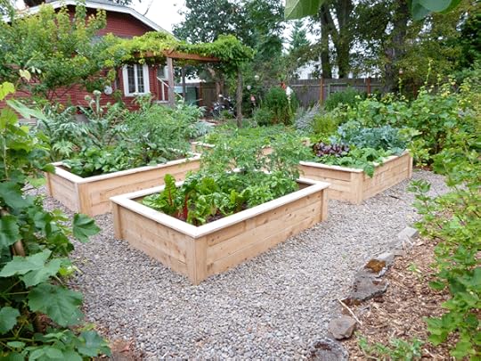 Raised beds circa July 2012