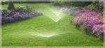 lawncare