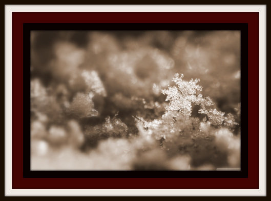 Website cover snow
