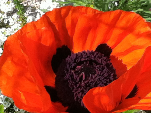 photo-1
