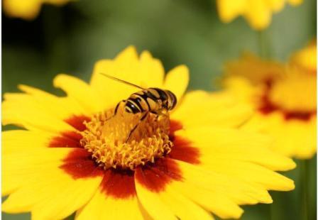 Post image for A Barefoot Girl With Shoes On