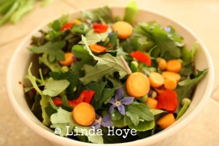 Post image for Summer Fulfillment