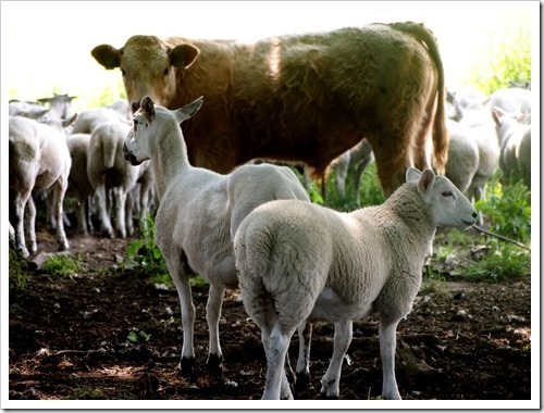 12 July 2 11-07-2013 12-22-14