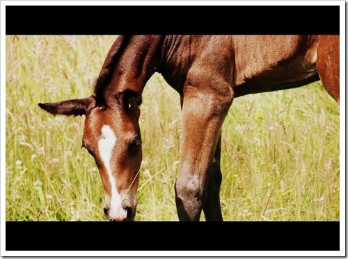 12 July 7 10-07-2013 13-17-16