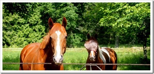 12 July 9 10-07-2013 13-57-48