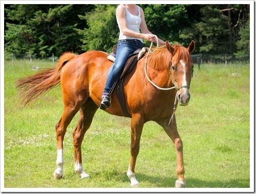 12 July 11 09-07-2013 12-27-14