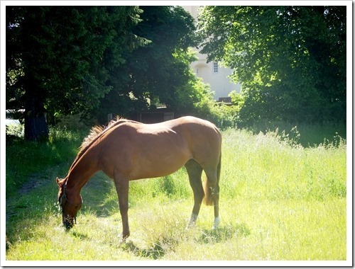 12 July 14 06-07-2013 09-50-17