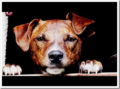 12 July 15 08-07-2013 14-48-04