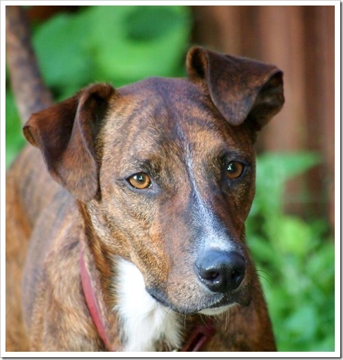 12 July 18 07-07-2013 18-21-58