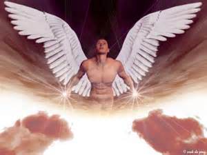 Angel white wings
