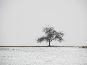 1416860_37668022