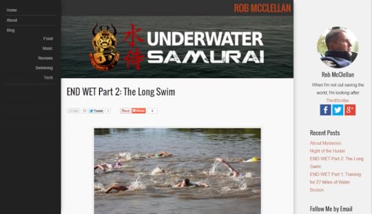 A screen shot of a real post on my own Author Blog site.