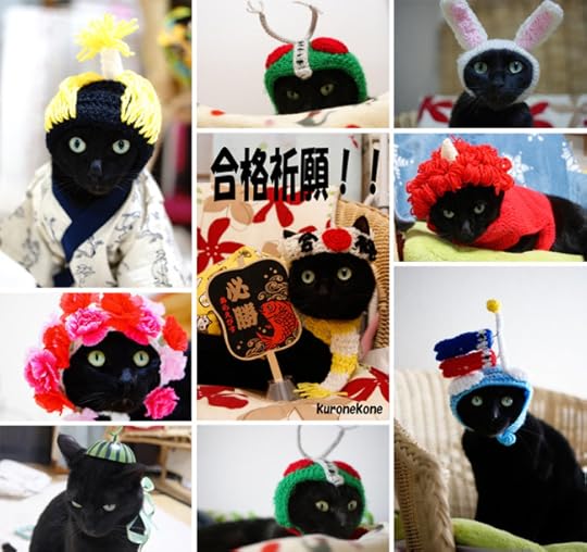 HatCat