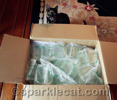 She is dying to know what is underneath all the packing