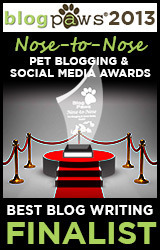 2013_NosetoNose_BlogWriting