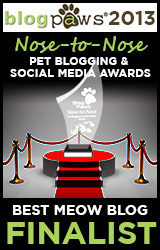 2013_NosetoNose_MeowBlog