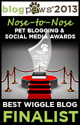 2013_NosetoNose_WiggleBlog
