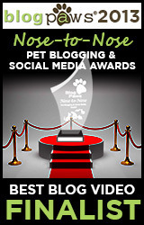 2013_NosetoNose_BlogVideo