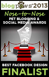 2013_NosetoNose_FBdesign