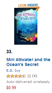 Amazon 33 best seller list 12-20