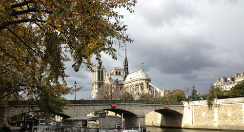 notre-dame-fall