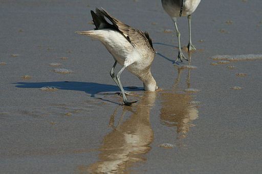 Click to visit the original post