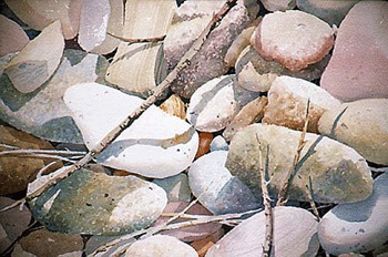 Sticks and stones, words hurt