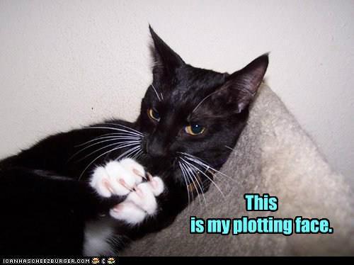 plotting