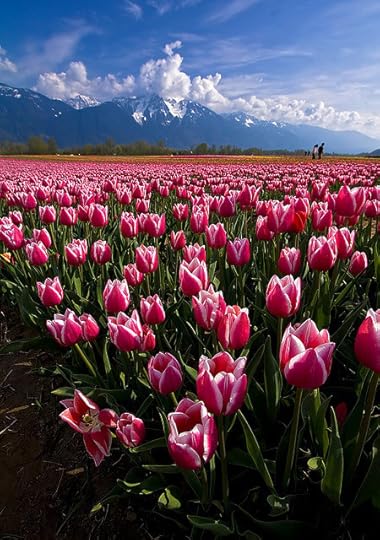 Click to visit the original post