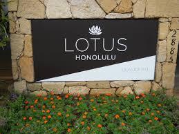 lotushonolulu