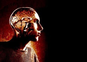 brain