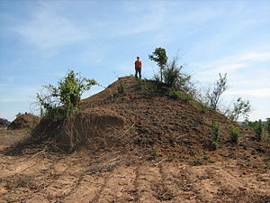 English: A giant anthill in Zambia (in Africa)...