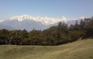 High altitude mountain meadows