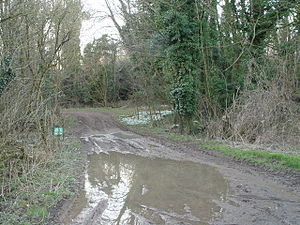 English: Muddy Puddle