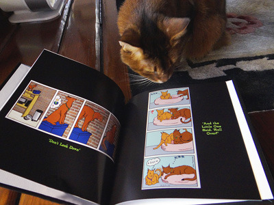 Jake is a very busy, fanciful Aby - I bet it is easy to come up with cartoons starring him!