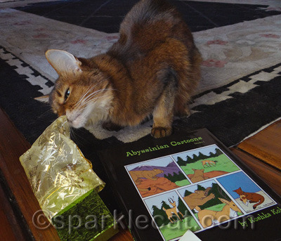 I wasn't allowed to chew on this - bummer!