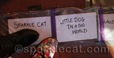 The other blog is actually named Little Dog in the Big City