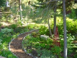 DW Garden path