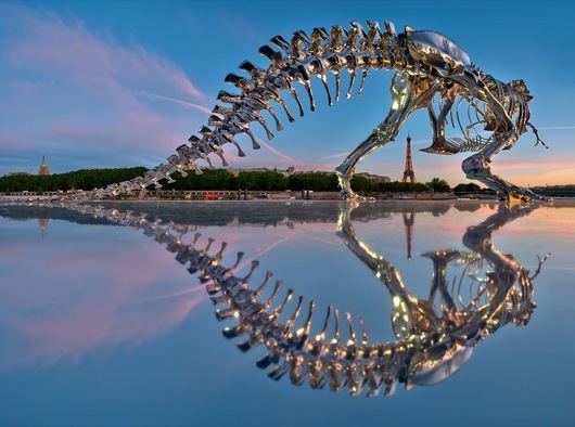 T-Rex-paris-Fireball_Tim