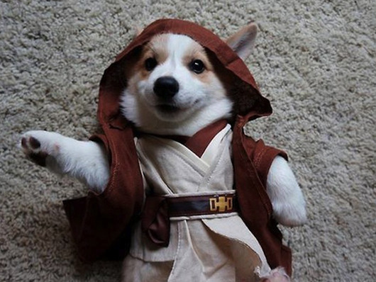 Stumpfrey-Fireball_Tim