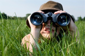 observing
