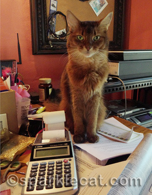 It is hard to supervise when there is no room on the desk!